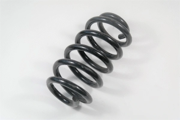 Suspension Spring (58752)