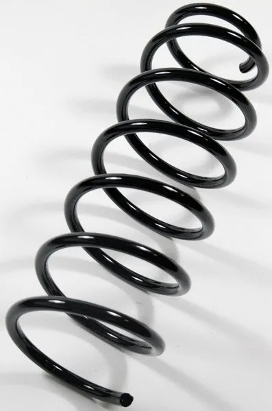 Suspension Spring (66674)