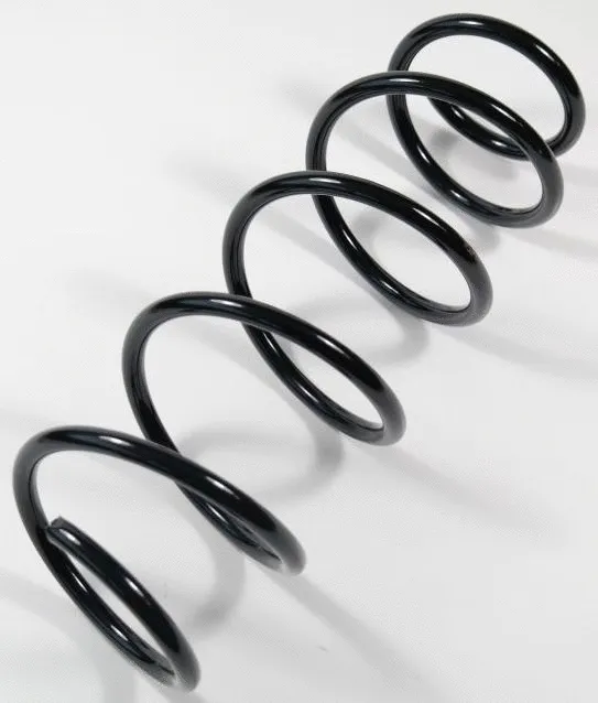 Suspension Spring (58738)