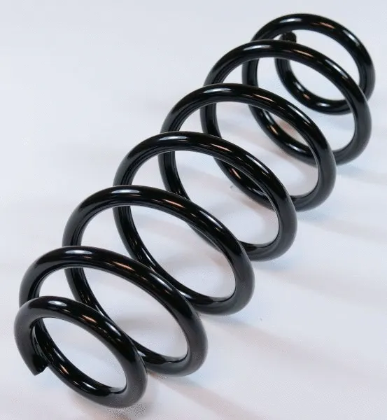 Suspension Spring (58666)