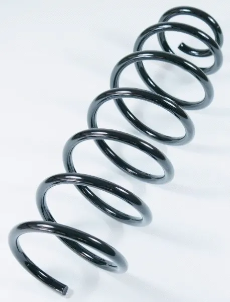 Suspension Spring (58712)