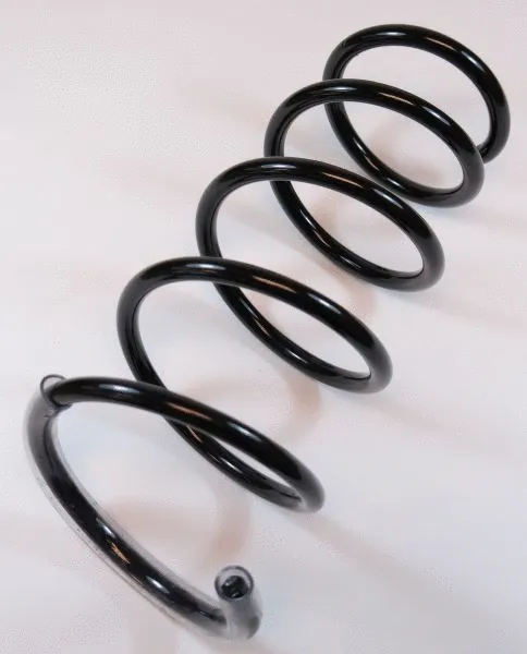 Suspension Spring (64131)