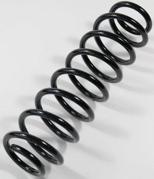 Suspension Spring (67409)