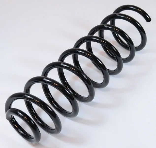 Suspension Spring (63747)