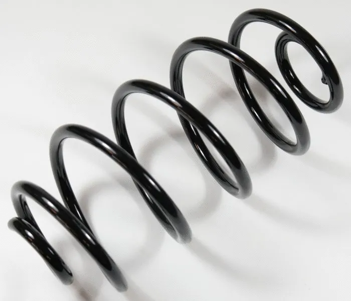 Suspension Spring (58674)