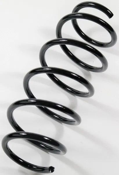 Suspension Spring (67407)