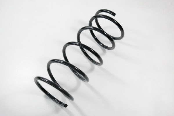 Suspension Spring (66488)
