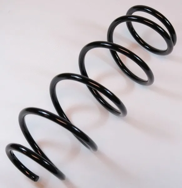 Suspension Spring (63737)