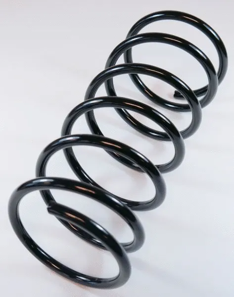 Suspension Spring (66849)