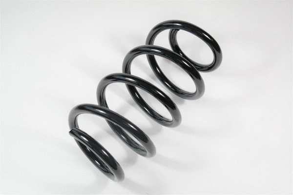 Suspension Spring (58718)