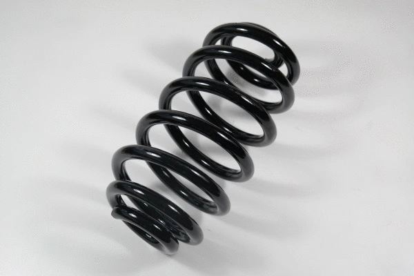 Suspension Spring (58811)