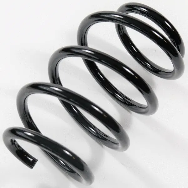 Suspension Spring (67443)