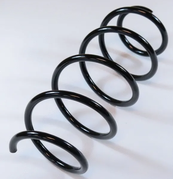 Suspension Spring (67160)