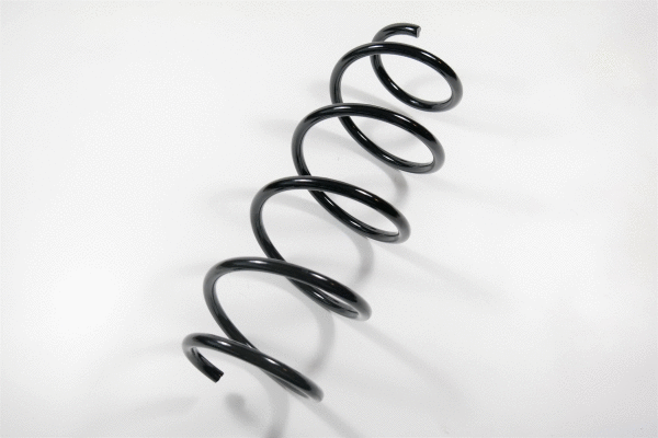Suspension Spring (58977)
