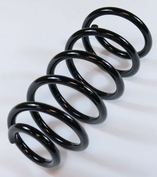 Suspension Spring (63728)