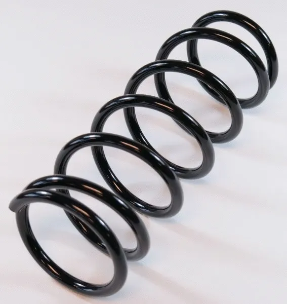 Suspension Spring (62735)