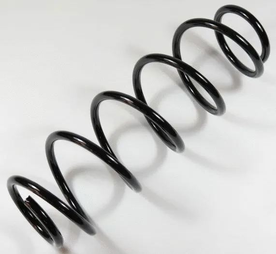 Suspension Spring (58741)