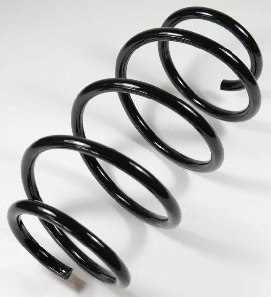 Suspension Spring (63304)