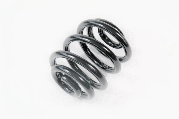 Suspension Spring (58660)