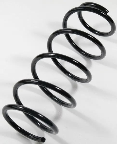 Suspension Spring (63722)