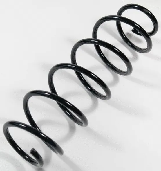 Suspension Spring (67416)