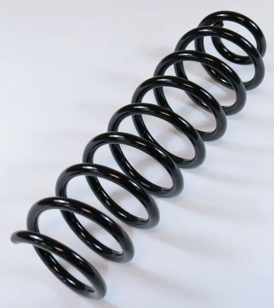 Suspension Spring (66845)