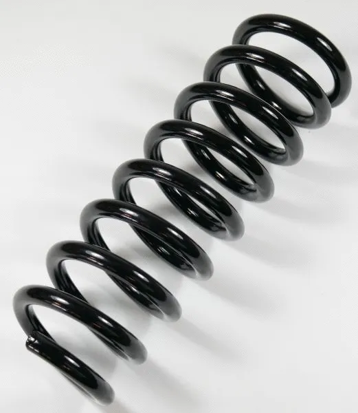 Suspension Spring (66821)
