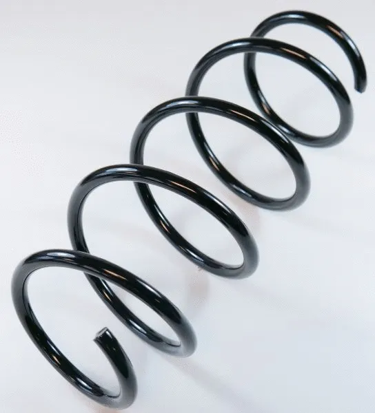 Suspension Spring (66917)