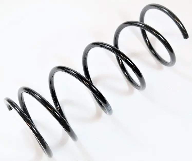 Suspension Spring (67138)