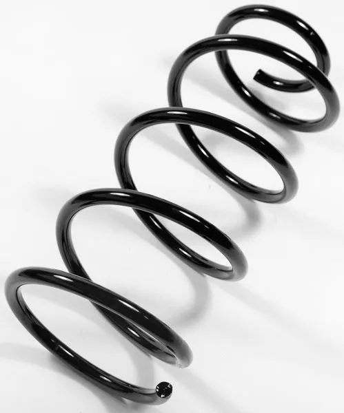 Suspension Spring (67231)