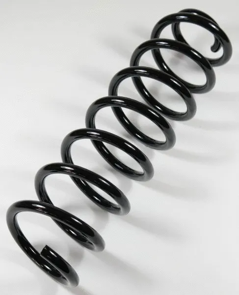 Suspension Spring (58675)