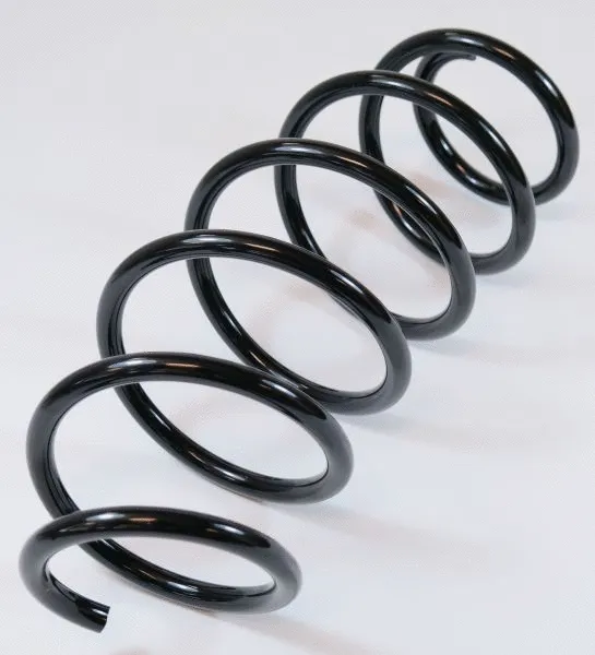 Suspension Spring (67162)