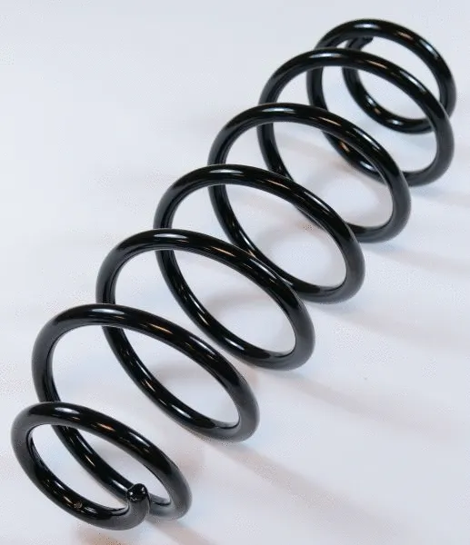 Suspension Spring (62976)