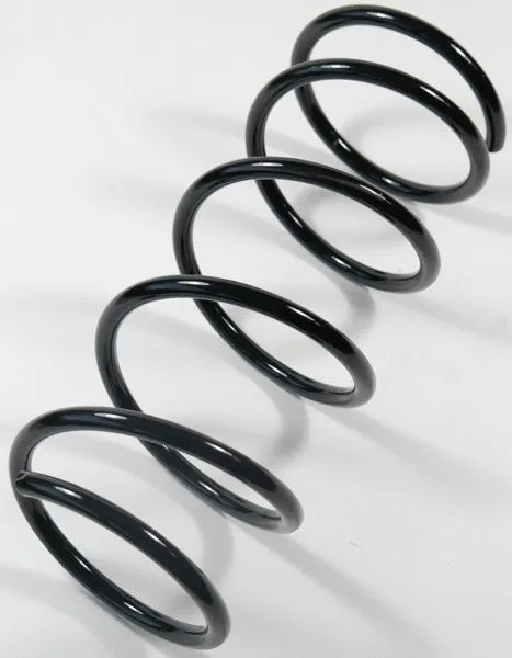 Suspension Spring (67095)