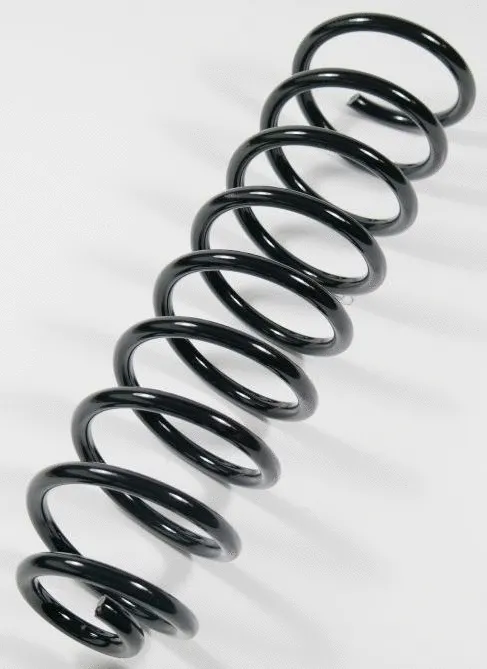 Suspension Spring (64174)