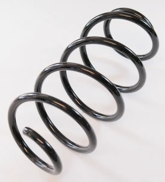 Suspension Spring (64160)