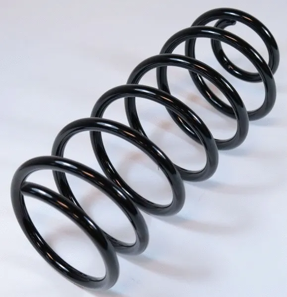 Suspension Spring (62887)