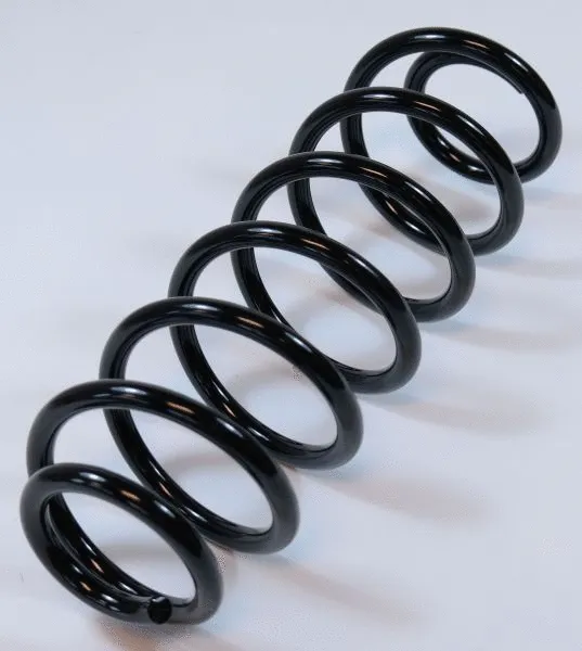 Suspension Spring (62873)