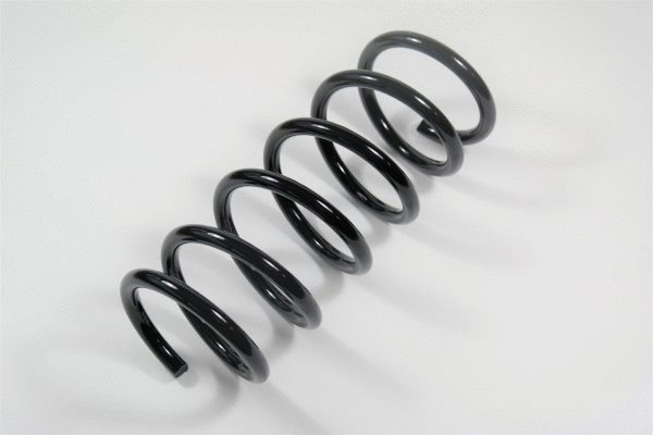 Suspension Spring (67457)
