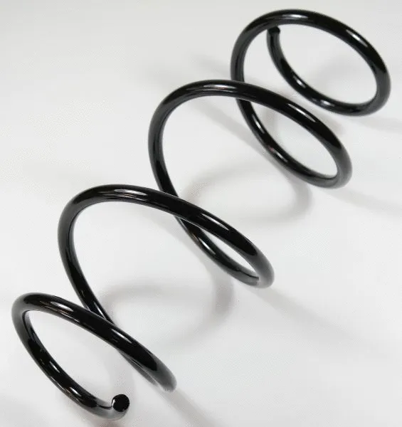 Suspension Spring (58734)