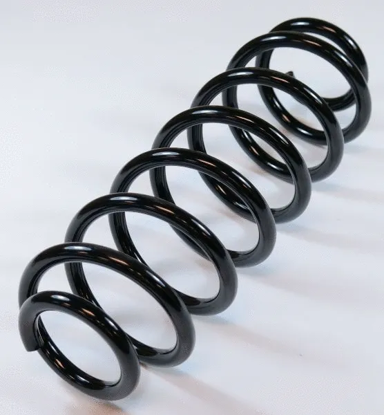 Suspension Spring (66728)
