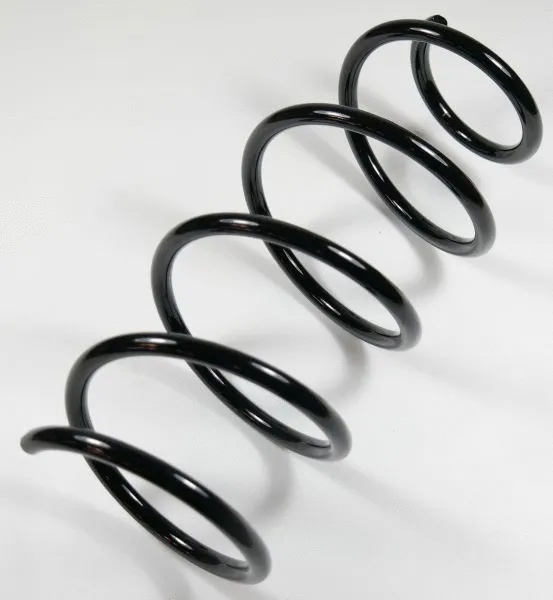 Suspension Spring (58737)