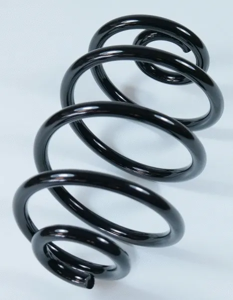 Suspension Spring (66520)