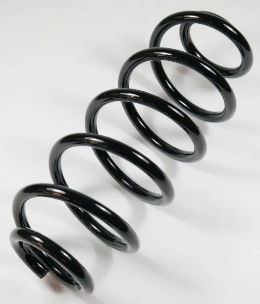 Suspension Spring (66655)