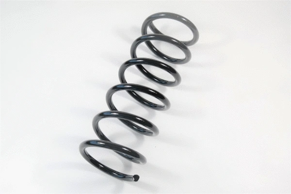 Suspension Spring (58754)