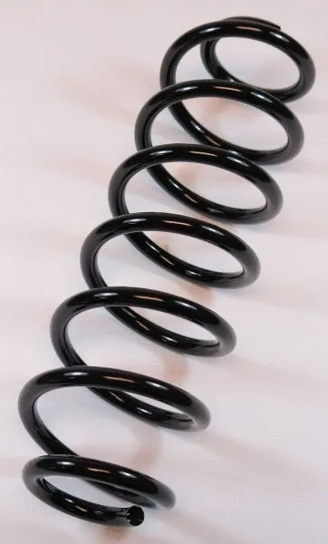 Suspension Spring (64169)