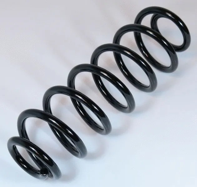 Suspension Spring (67210)