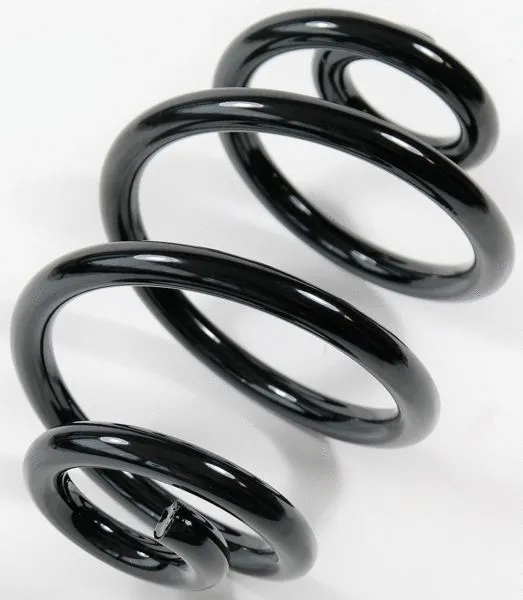 Suspension Spring (66683)