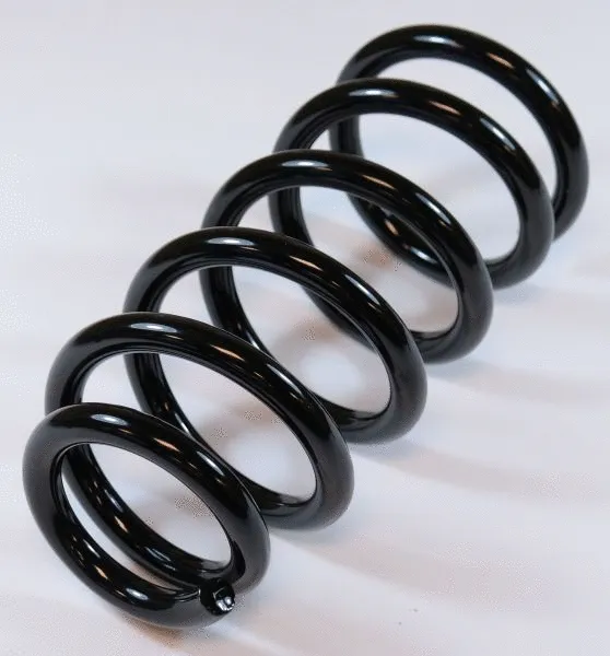 Suspension Spring (66819)