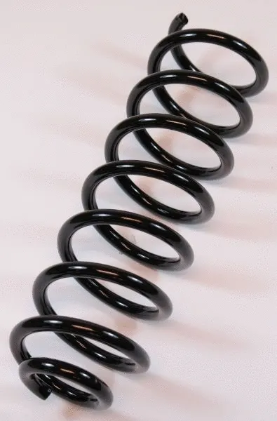 Suspension Spring (66512)